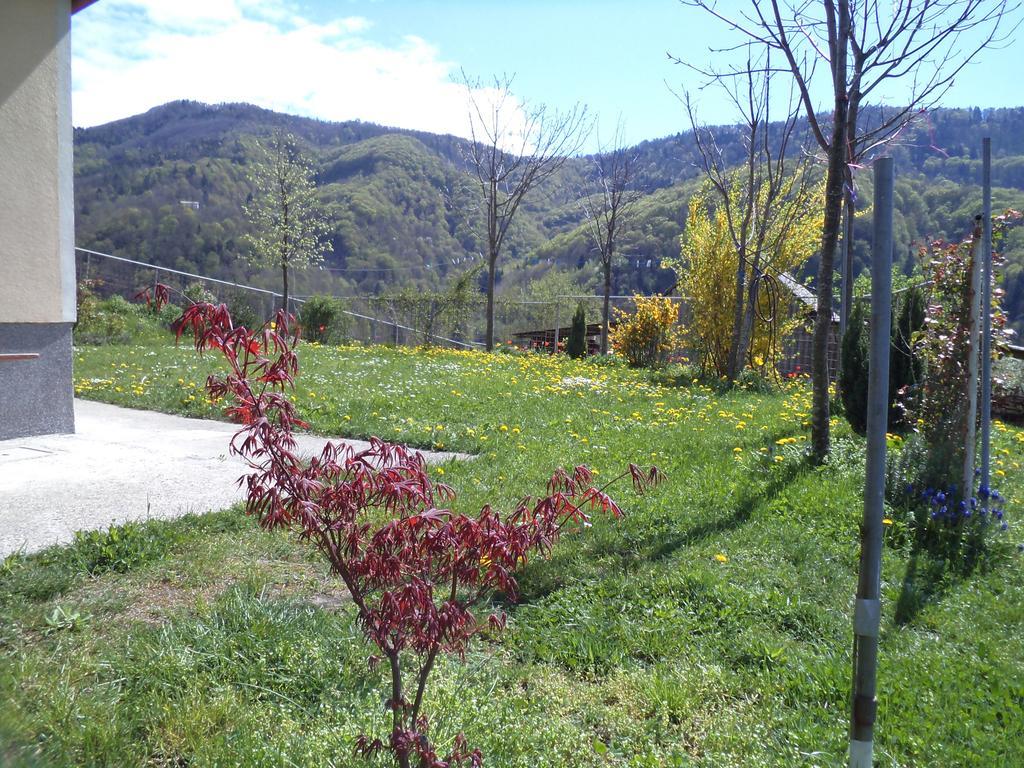 Apartments Petrin Tolmin Bagian luar foto